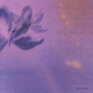 宣传片UI小鲤导航
