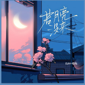 宣传片UI小鲤导航
