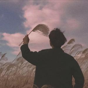 宣传片UI小鲤导航
