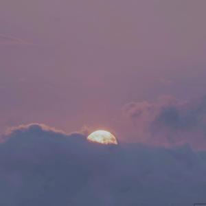 宣传片UI小鲤导航
