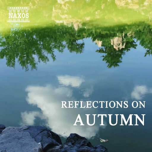 宣传片UI小鲤导航
