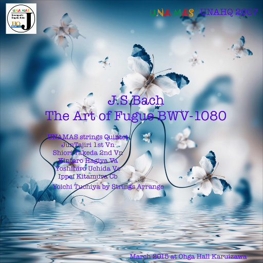 宣传片UI小鲤导航
